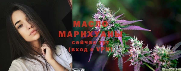 индика Армянск