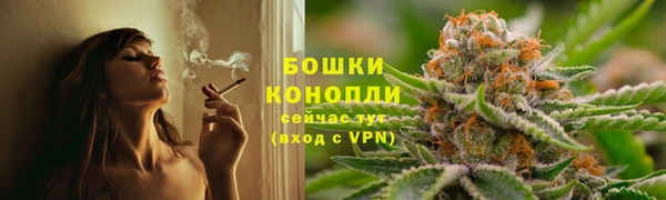 твердый Аркадак