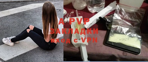 индика Армянск