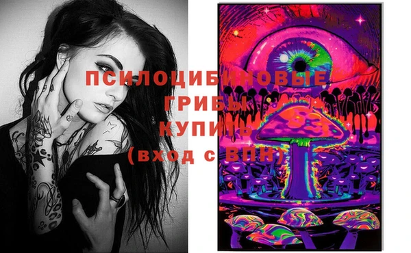индика Армянск