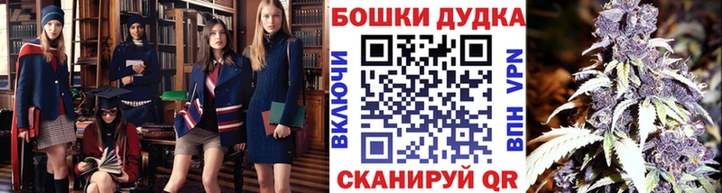 сколько стоит Пыть-Ях Шишки марихуана гибрид
